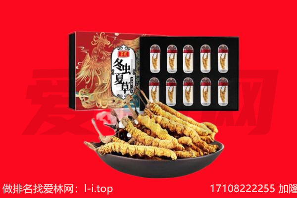 赤峰回收虫草.jpg